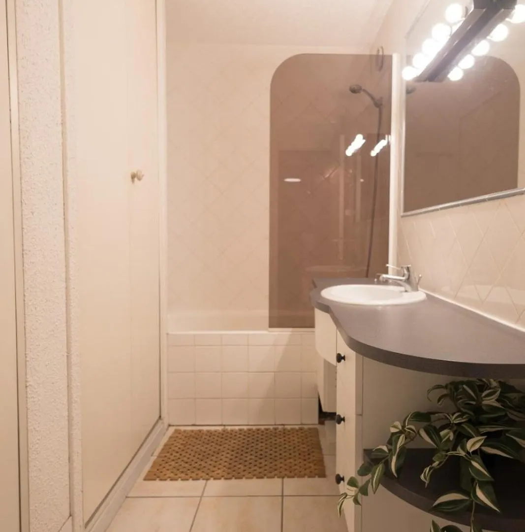 Appartement Pour 6 Personnes Au Pied Des Pistes Les Allues France